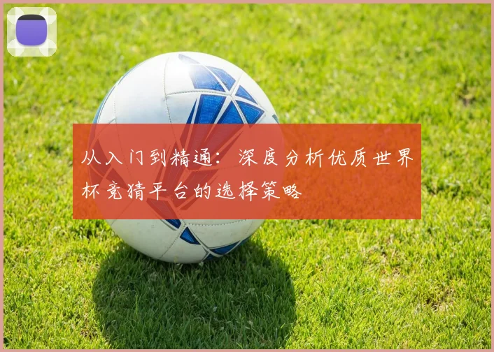 从入门到精通：深度分析优质世界杯竞猜平台的选择策略