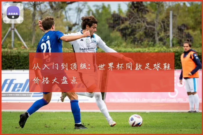 从入门到顶级：世界杯同款足球鞋价格大盘点