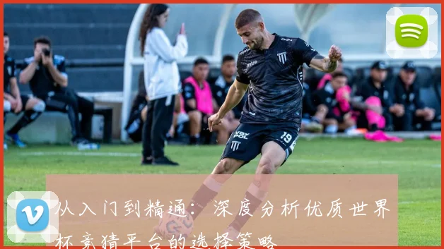 从入门到精通：深度分析优质世界杯竞猜平台的选择策略